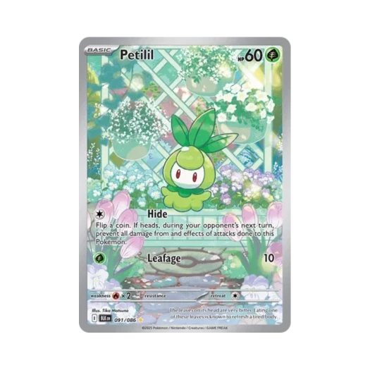 Pokemon TCG Petilil IR Black Bolt (English Ver.)
