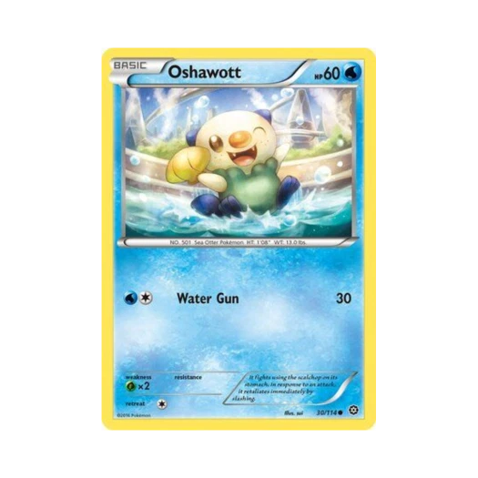 포켓몬 TCG 수댕이 C 스팀 시즈 (영문판)