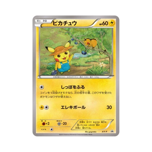 Pokemon TCG Pikachu P XY Promos (Japanese Ver.)