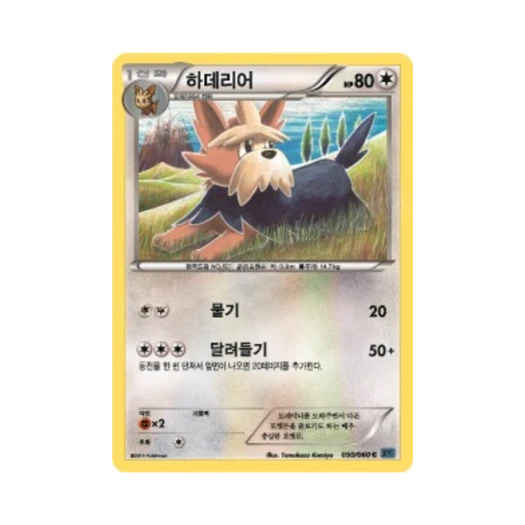 포켓몬 TCG 하데리어 C X컬렉션 (한글판)