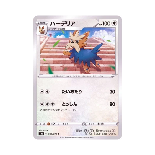 포켓몬 TCG 하데리어 C 쌍벽의 파이터 (일어판)