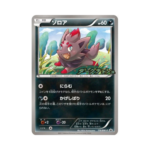 포켓몬 TCG 조로아 P 블랙 & 화이트 프로모카드 (일어판)