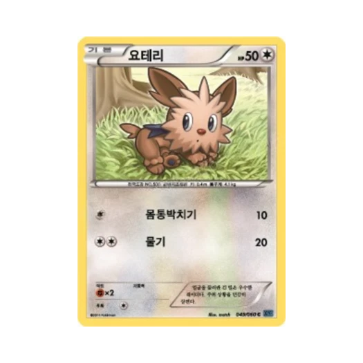 포켓몬 TCG 요테리 C X컬렉션 (한글판)