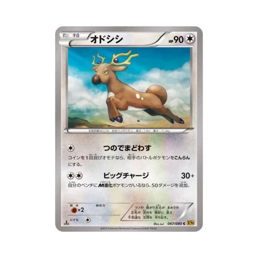 포켓몬 TCG 노라키 C 천공의 분노 퍼스트 에디션 (일어판)