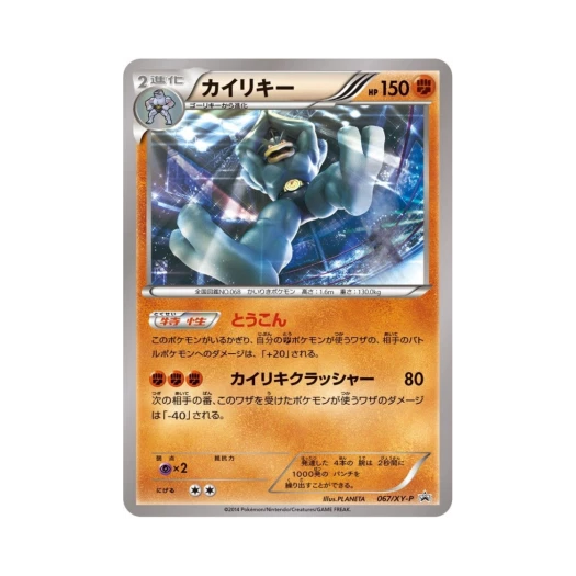 포켓몬 TCG 괴력몬 P XY 프로모 카드 (일어판)