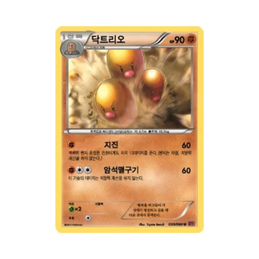 포켓몬 TCG 닥트리오 U Y컬렉션 (한글판)
