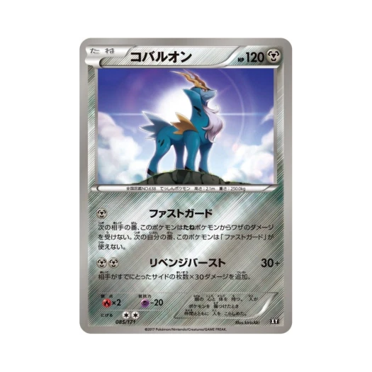 포켓몬 TCG 코바르온 미러 베스트 오브 엑스와이 (일어판)