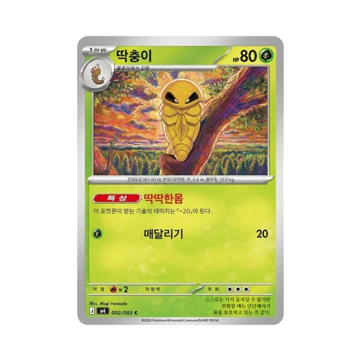 포켓몬 TCG 딱충이 C 메가 확장팩 닌자스피너 (한글판)