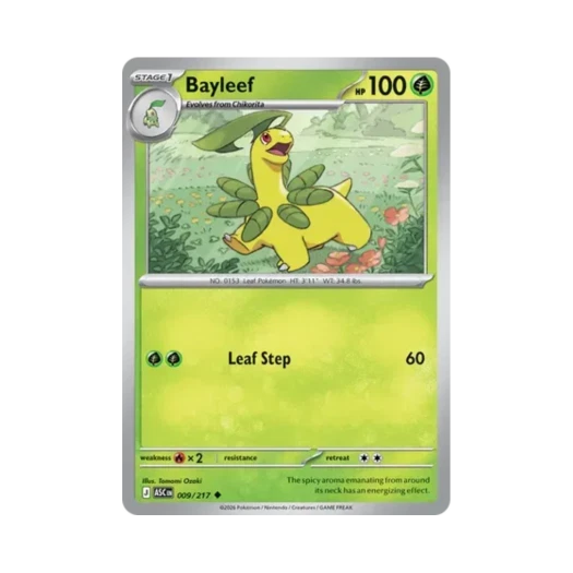 포켓몬 TCG 베이리프 U 메가 에볼루션 어센드 히어로즈 (영문판)