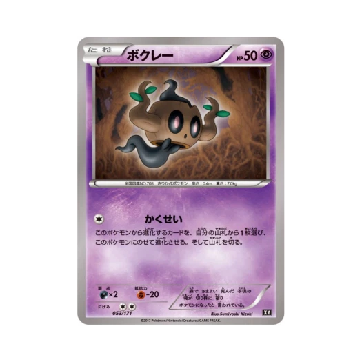 포켓몬 TCG 나목령 베스트 오브 엑스와이 (일어판)
