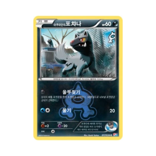 포켓몬 TCG 아쿠아단의 포챠나 C 마그마단vs아쿠아단 더블크라이시스 (한글판)