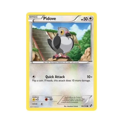 포켓몬 TCG 콩둘기 C 블랙 & 화이트 (영문판)