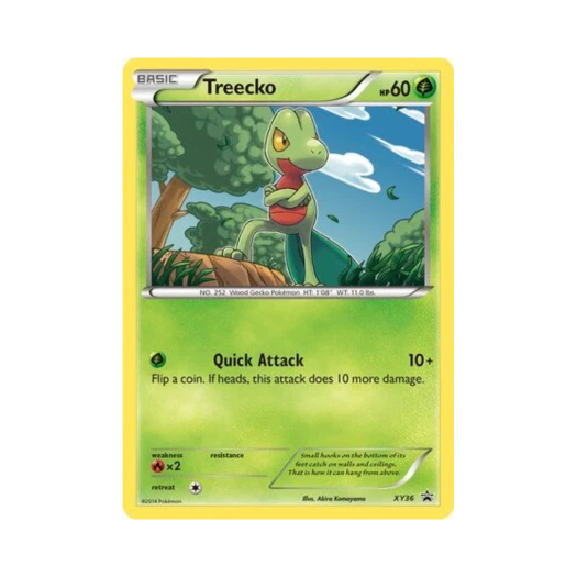 포켓몬 TCG 나무지기 P XY 프로모 카드 (영문판)