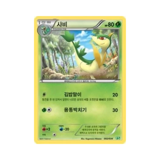 포켓몬 TCG 샤비 BW 퍼스트 세트 풀의 진화 (한글판)