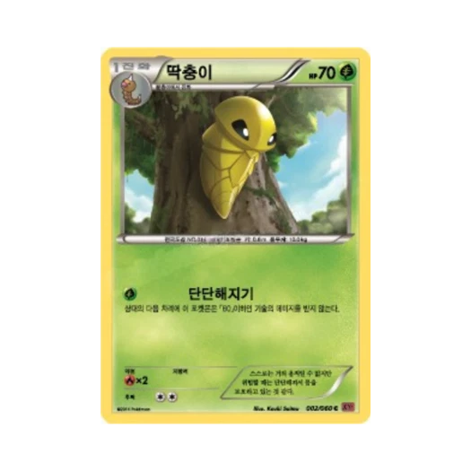 포켓몬 TCG 딱충이 C Y컬렉션 (한글판)
